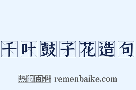 千叶鼓子花造句是什么意思的图片